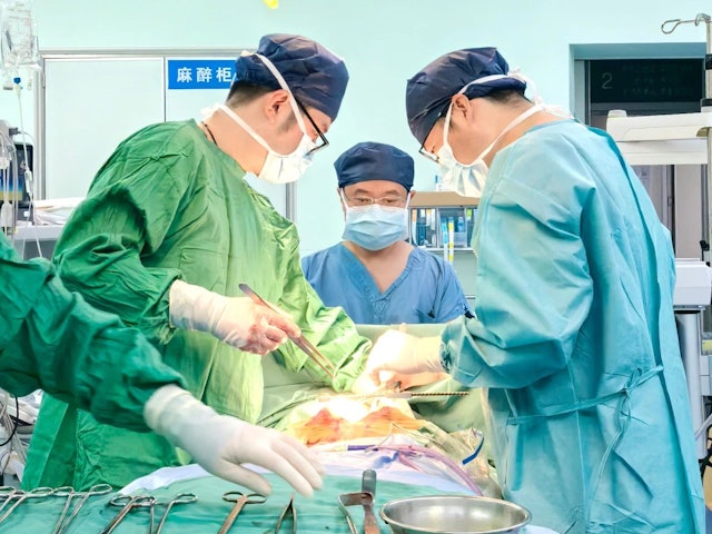 枯树枝跌落竟插入男子颈部直达胸腔　医生：万幸避过所有大血管