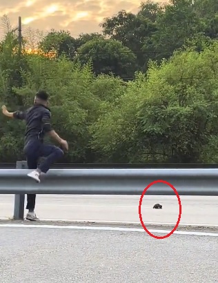 横跨大道救小猫 网民惊呼太危险！