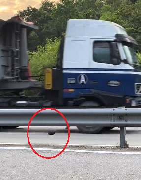 横跨大道救小猫 网民惊呼太危险！