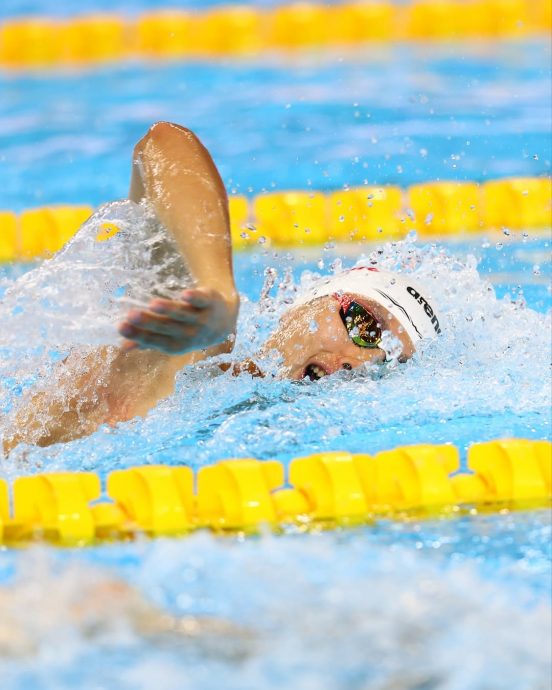 水上运动世锦赛|跳水赛点燃战火 中国梦之队抢首金