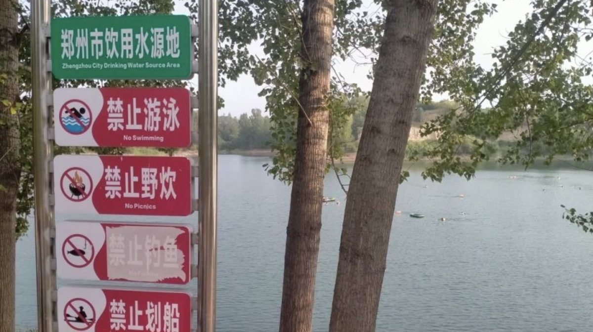河南水库成“野泳乐园” 人游泳狗戏水无视“饮用水源地”标语