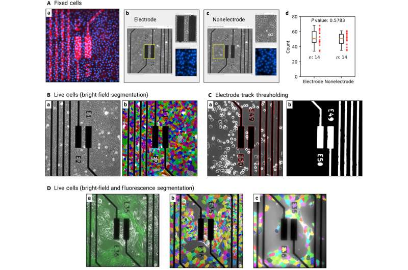 法团队突破癌症检测技术 首创无创技术实时检测癌细胞动态