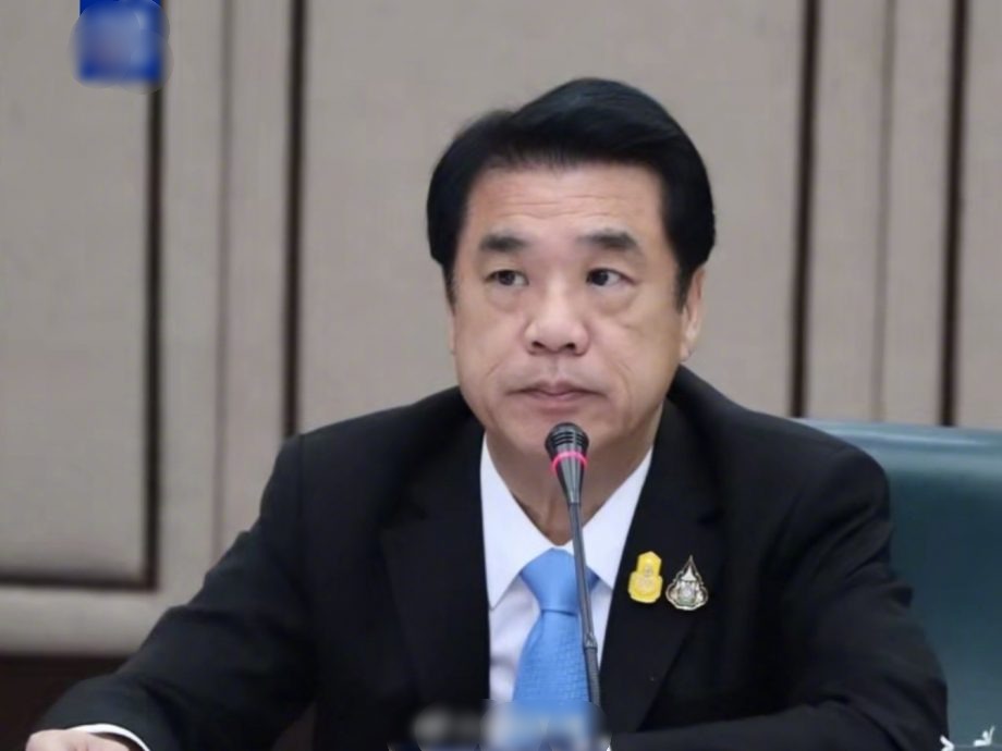 泰国副首相任看守首相