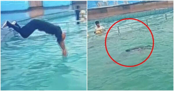 泳池派对炫跳水特技 男子落水10秒后浮起身亡
