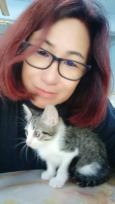 流浪狗被安乐死 | NGO和义工为赎狗奔波 赶拟双赢方案呈交市政厅