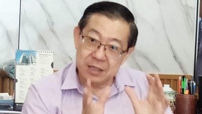 美加税不宜调电费扩大SST   林冠英：下周向政府反映民困