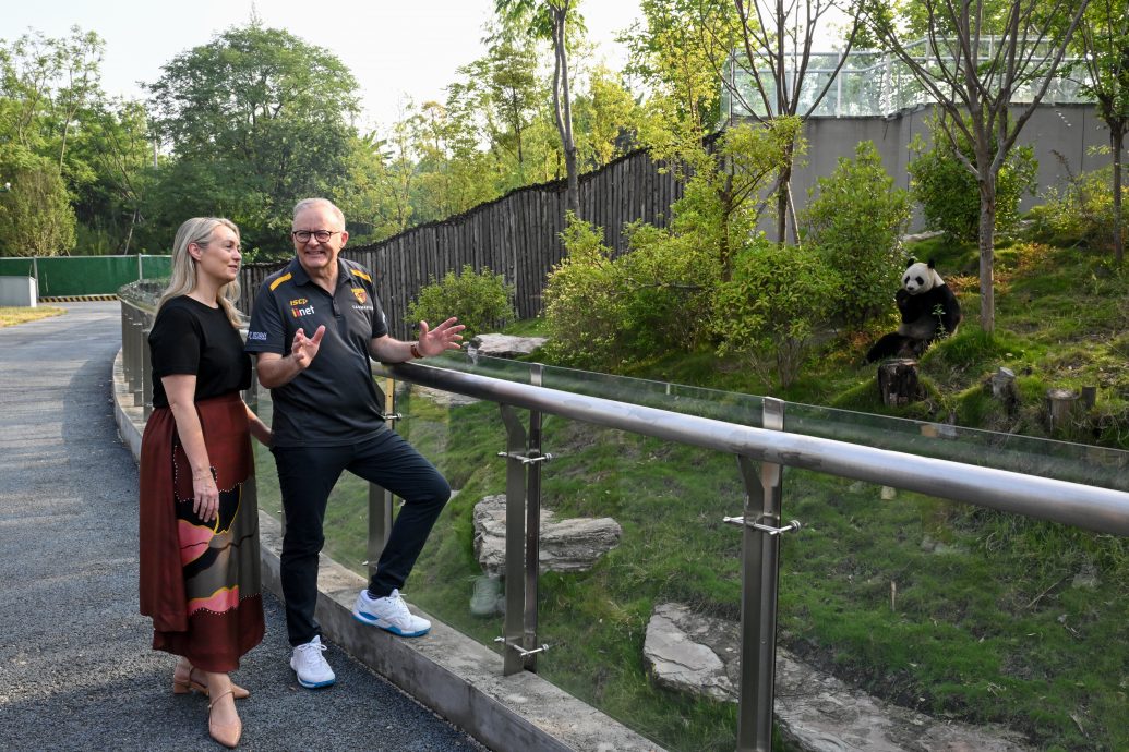 澳总理现身成都探望“老朋友” 以“熊猫外交”结束中国行