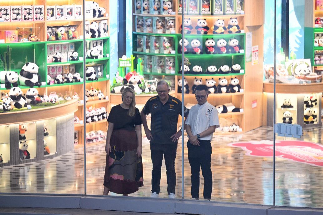 澳总理现身成都探望“老朋友” 以“熊猫外交”结束中国行