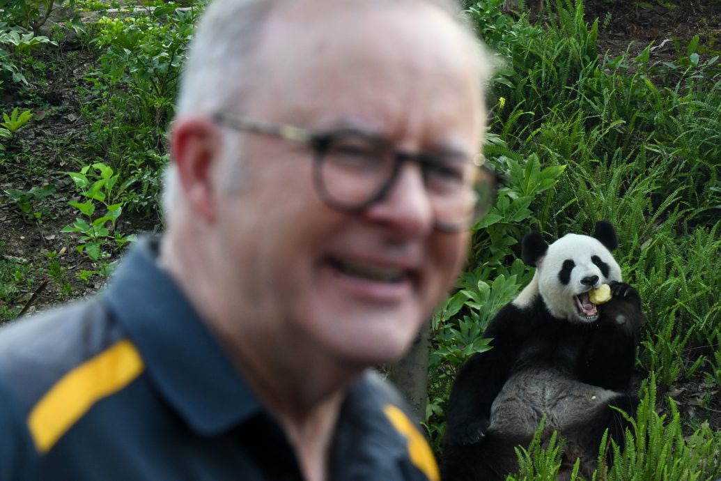 澳总理现身成都探望“老朋友” 以“熊猫外交”结束中国行