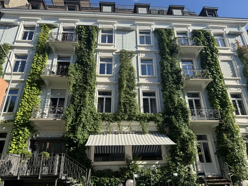 热浪天数创新高 瑞士城市试以天然方式降温