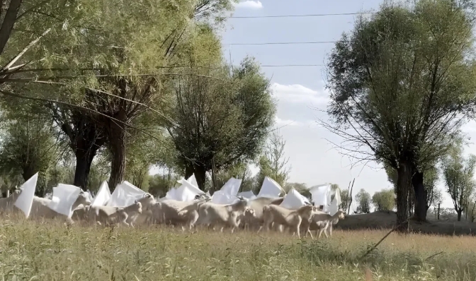   看世界两图)赴陕调查污染失联艺术家  遭公安以“寻衅滋事”拘留20天