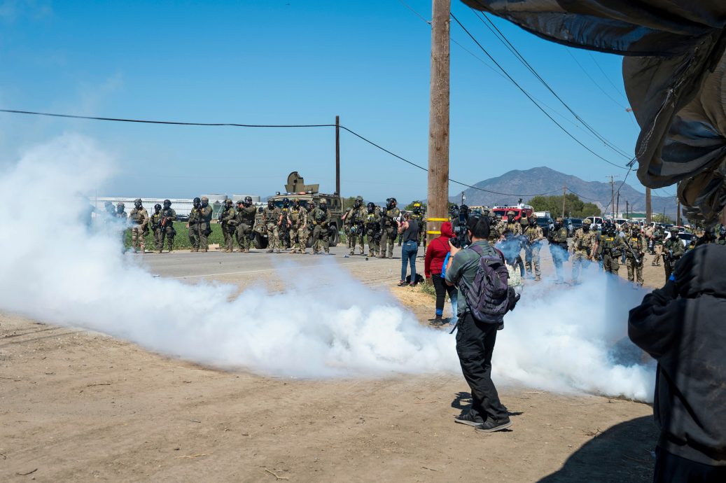 看世界)美移民局突袭加州大麻园  逮捕200无证移民
