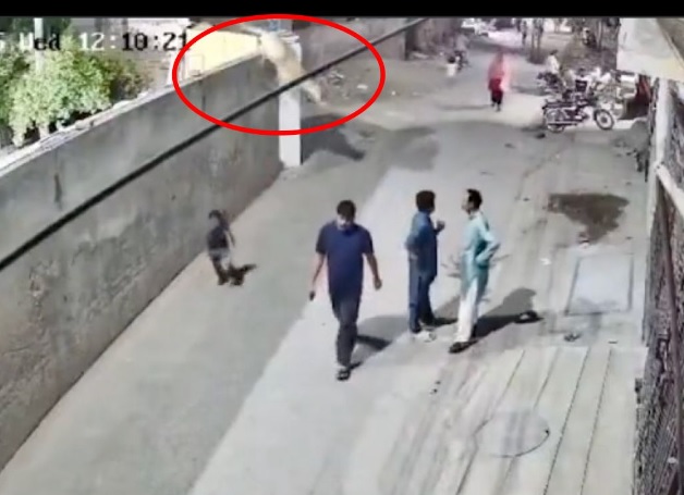 **看世界(只供网)**宠物狮街头突发野攻击 致省府订更严养猛兽条例