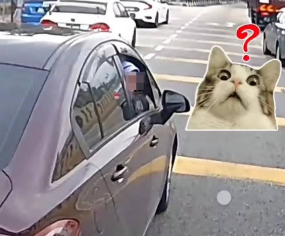 穿护士服违规停车阻碍交通 被鸣笛提醒移车比不雅手势