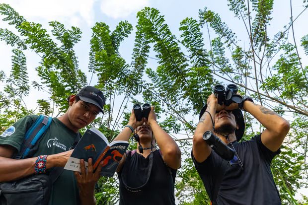 绿量 哥伦比亚小镇：多年遭战争蹂躏 因生态旅游重焕新生