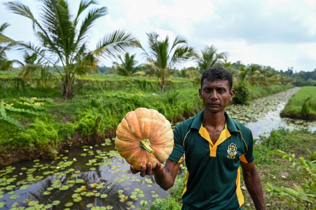 绿量无穷 | 应对粮安危机尝试耕作  特种兵与盐碱地“作战”   主//头
