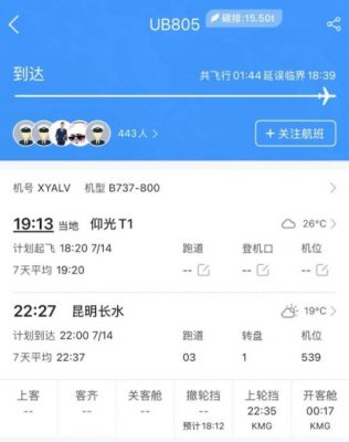 缅甸航空波音737客机降落昆明　右主起落架受损幸无人受伤