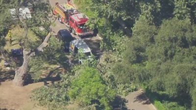 美夏令营又出意外 树枝断裂砸死8岁男童