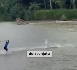 老翁遭鳄鱼拖下水 数十村民冲下河救人