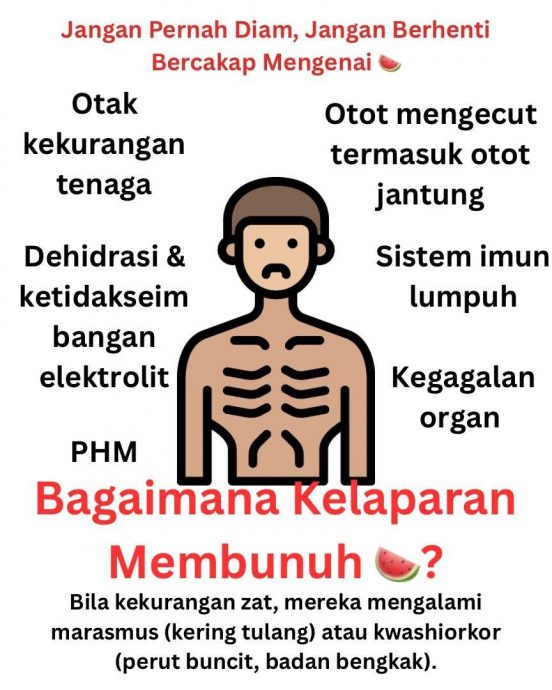 脑损器官衰竭免疫系统瘫痪 饥饿为慢性折磨逐步夺命