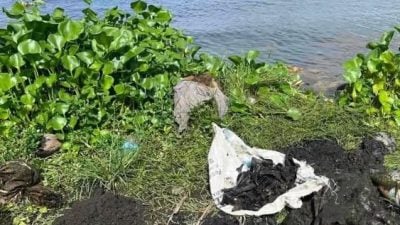 菲律宾斗鸡玩家失踪案  警方证实湖底捞起人骨