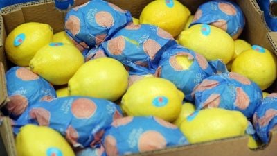 落实SST电子发票电费新机制 起价潮料一个月后掀起
