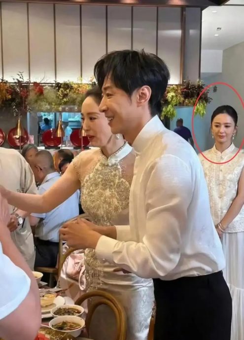 董璇张维伊婚宴敬酒照曝光 佟丽娅表情引发热议