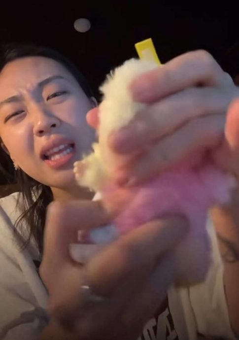 被“隐藏版Labubu”骗了 李泳知气到暴打假货