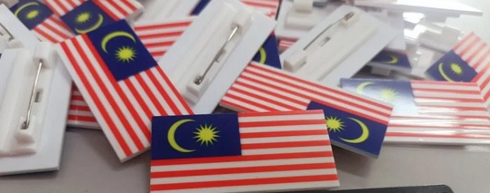 被国旗扣章割伤引发细菌感染 12岁女童动手术保住手指