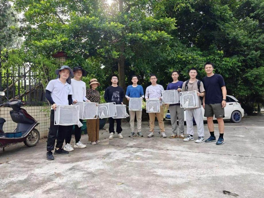 视频/不吸血“巨蚊”出动！　广东超狂防疫“以蚊制蚊”优于化学喷洒