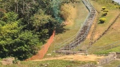 视频|好奇南北大道“人与山”路牌 民众爬上去收获惊喜