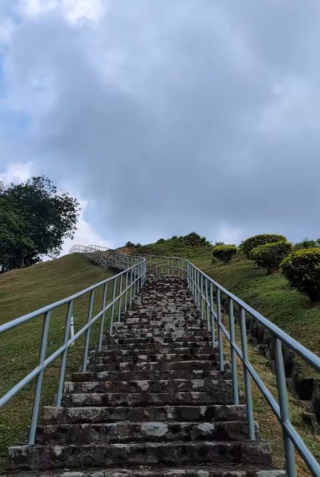 视频|好奇南北大道“人与山”路牌 民众爬上去收获惊喜