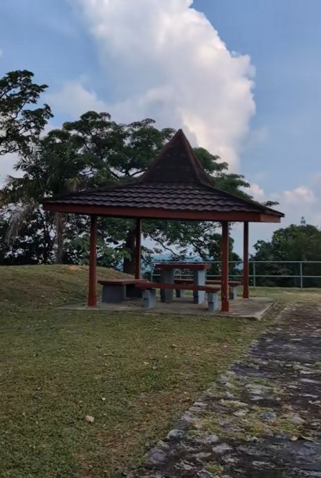 视频|好奇南北大道“人与山”路牌 民众爬上去收获惊喜