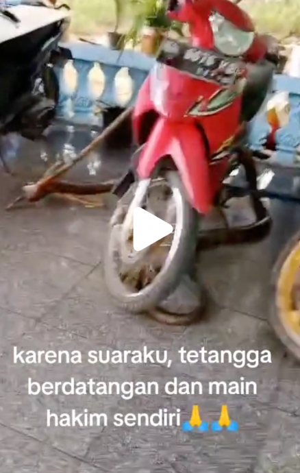 视频|巨型眼镜蛇闯民宅吓坏屋主 居民持木棍合力制服掀热议 