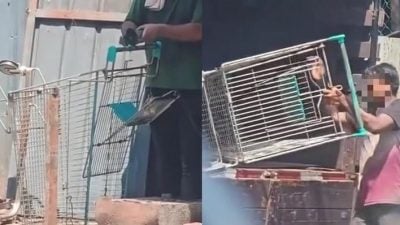 当废铁卖？移工涉偷超市购物车