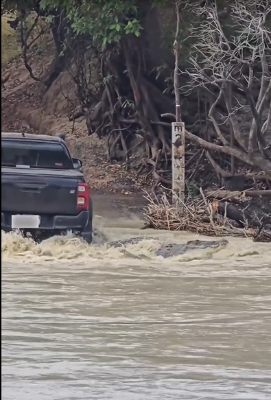 视频|渡河卡到巨鳄不敢停！货卡拖行鳄鱼画面疯传
