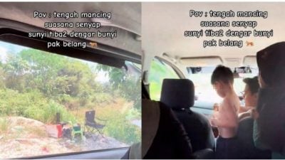 视频 | 野餐钓鱼突闻虎啸声　一家弃装备躲车避难