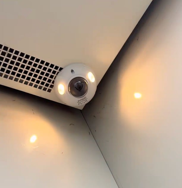 视频/胖成小电驴被禁入电梯 虎斑猫好委屈网笑翻