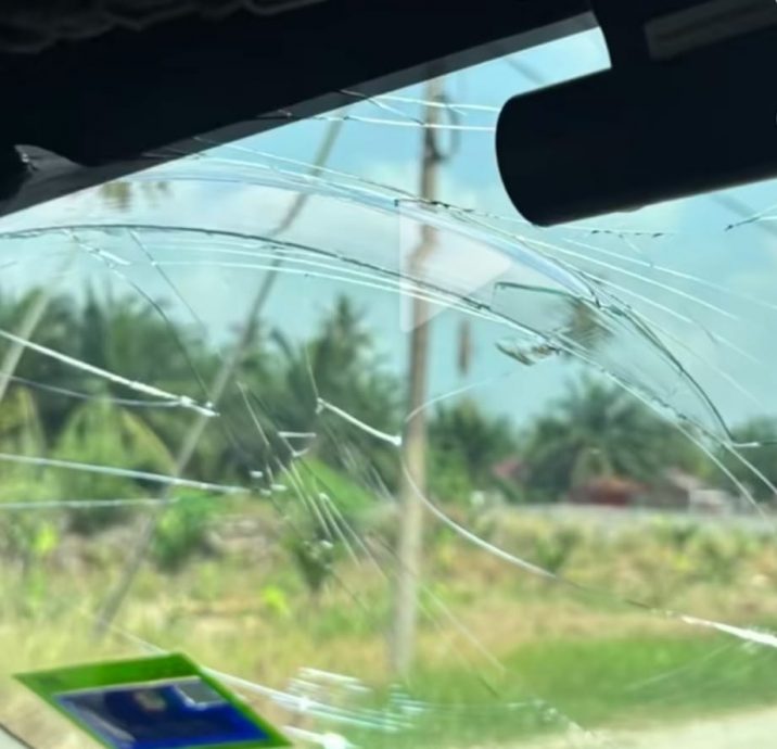 视频/飞鸡撞爆车大镜