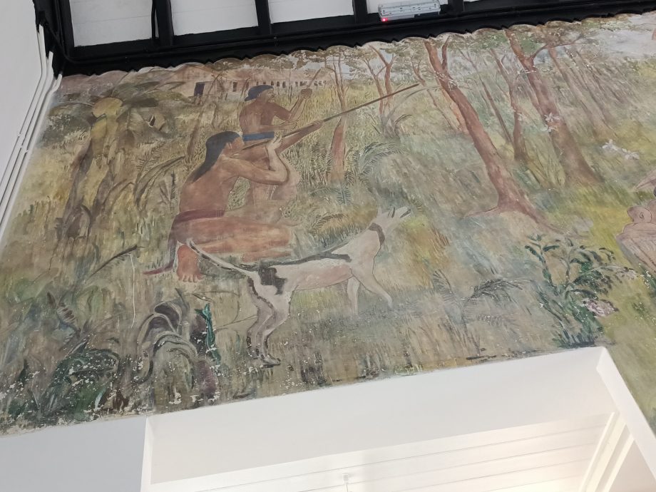 解决浪浪的第三条路01 | 动保团体吁人道对策 推行动物友善却准捕杀?