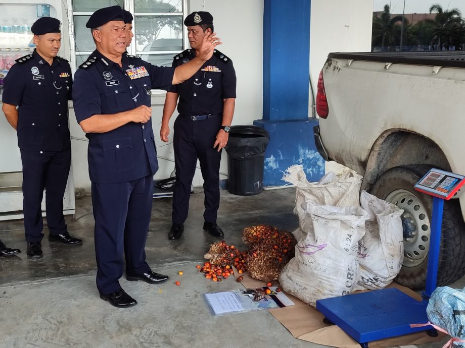 警方:突检棕果收购站后 下霹偷窃案下降11宗