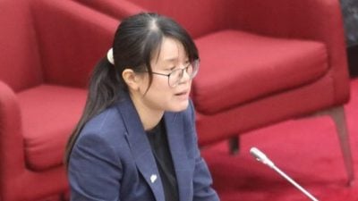 雪州议会 | 王诗棋：助非法工厂转型  建议4大方向加强整顿