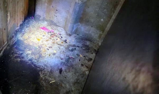 请签发：（大北马）老鼠屎有鸟粪 乔治市4店被关