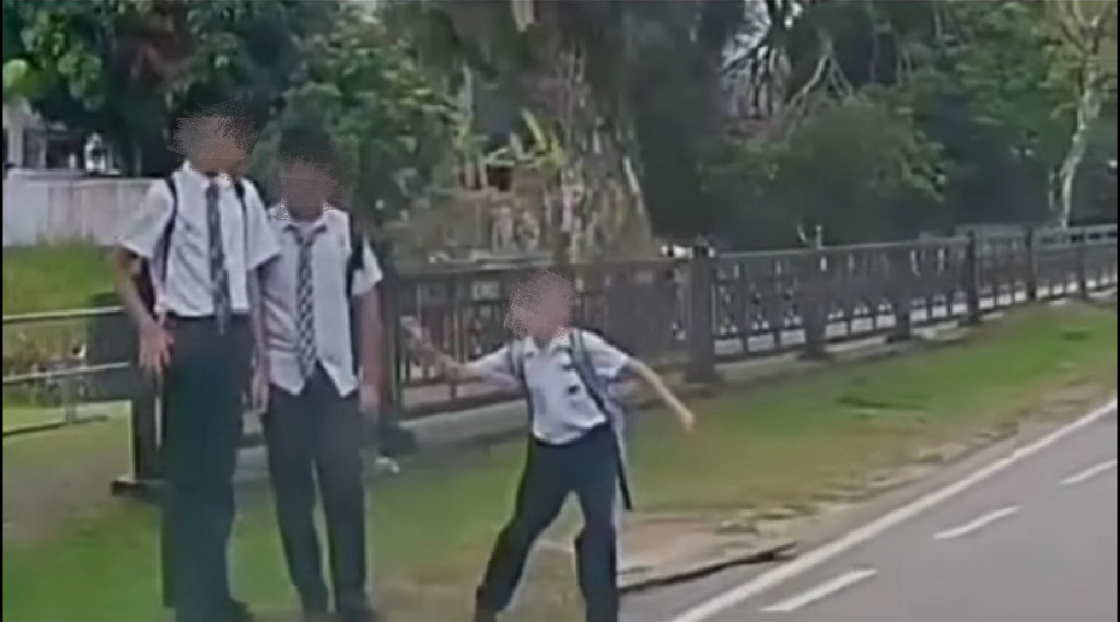 车辆行驶突发响声 小学生路旁往车扔石头