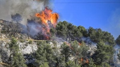 近半欧洲及地中海盆地干旱逾3个月 增野火风险
