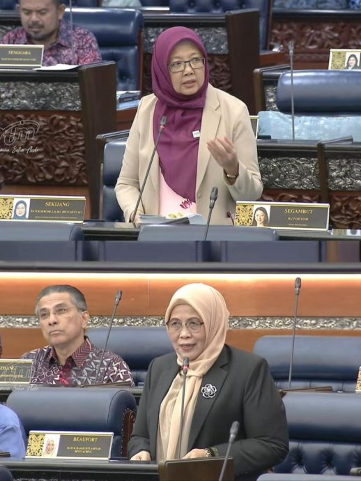 近期公布纳闽机构主席人选 扎丽哈：详细审查非拖延