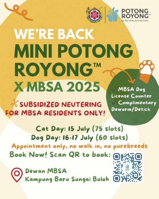 迪兰/艾琳和她剪不断理还乱的浪浪问题