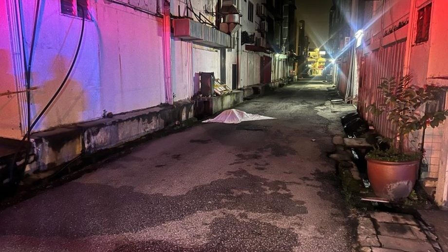 遭摩托党骚扰 女子感动4浪浪解围 “它们还护送我回家！”