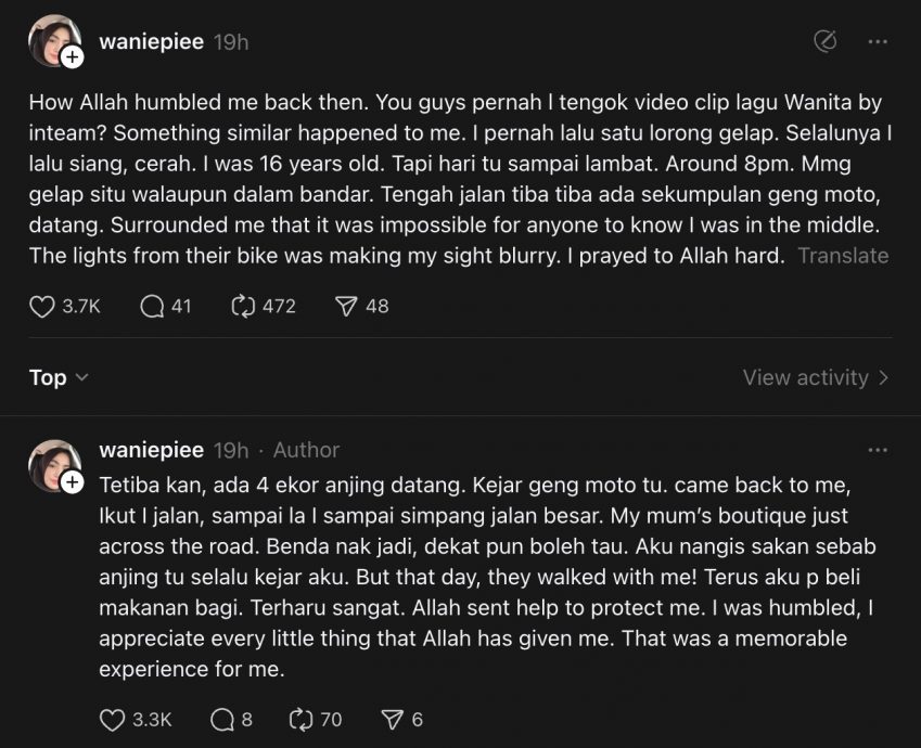 遭摩托党骚扰 女子感动4浪浪解围 “它们还护送我回家！”