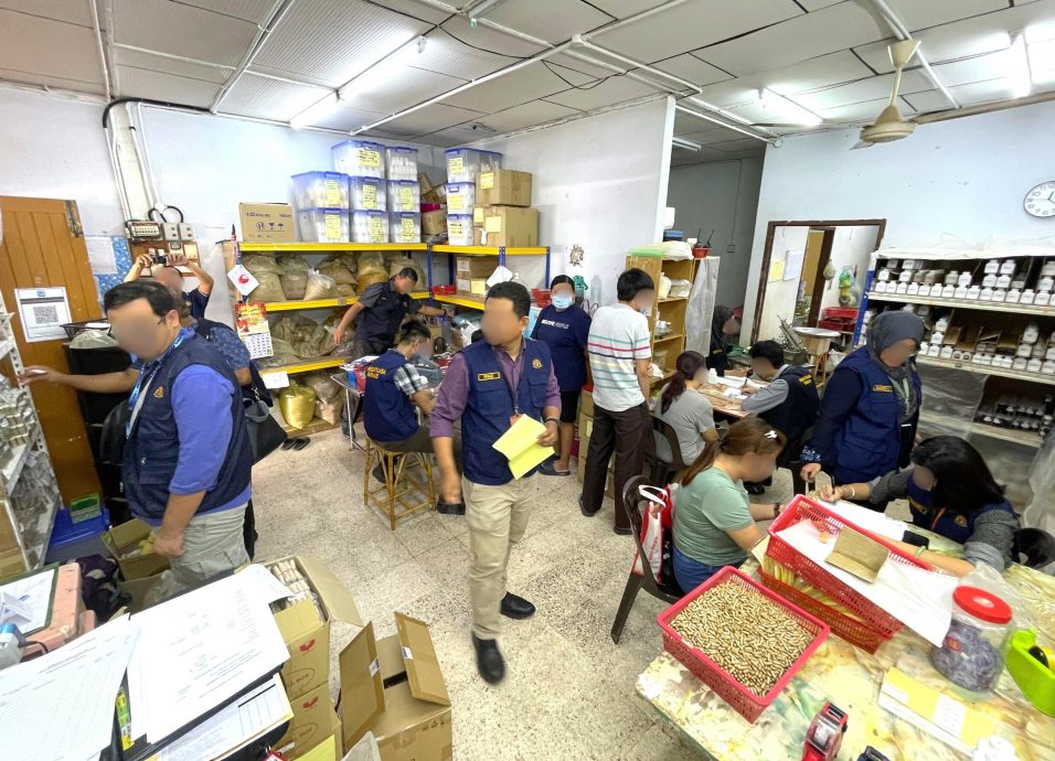 销售传统药品含管制毒药成分,槟卫生局突击起520万药品